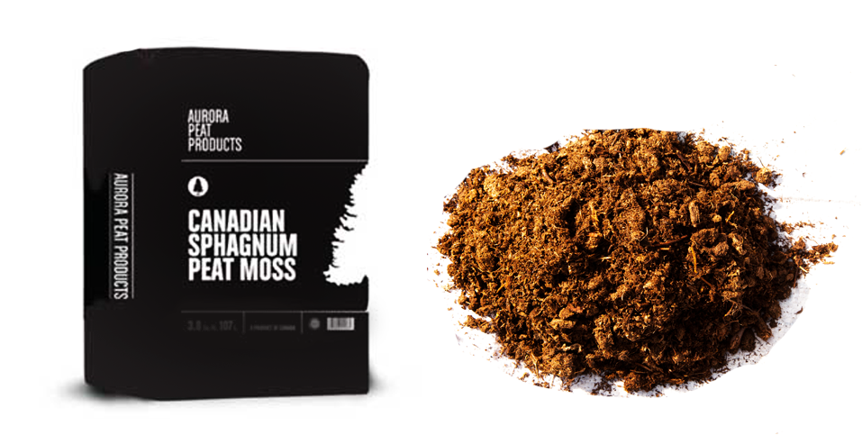 Peat moss